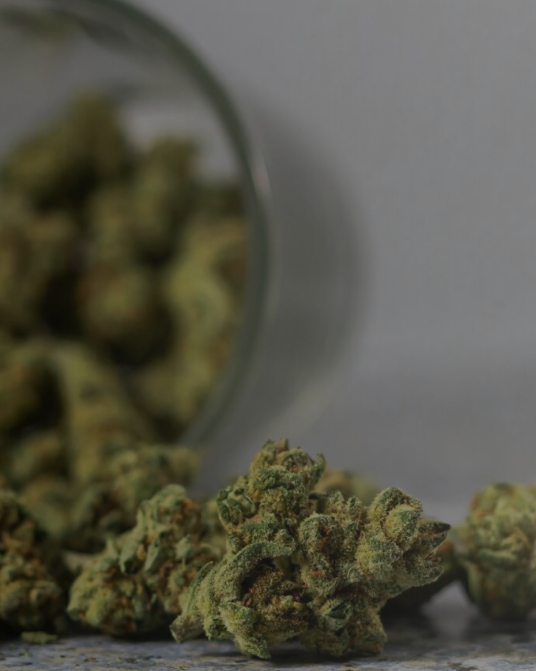 AAA-Buds-Johannesburg